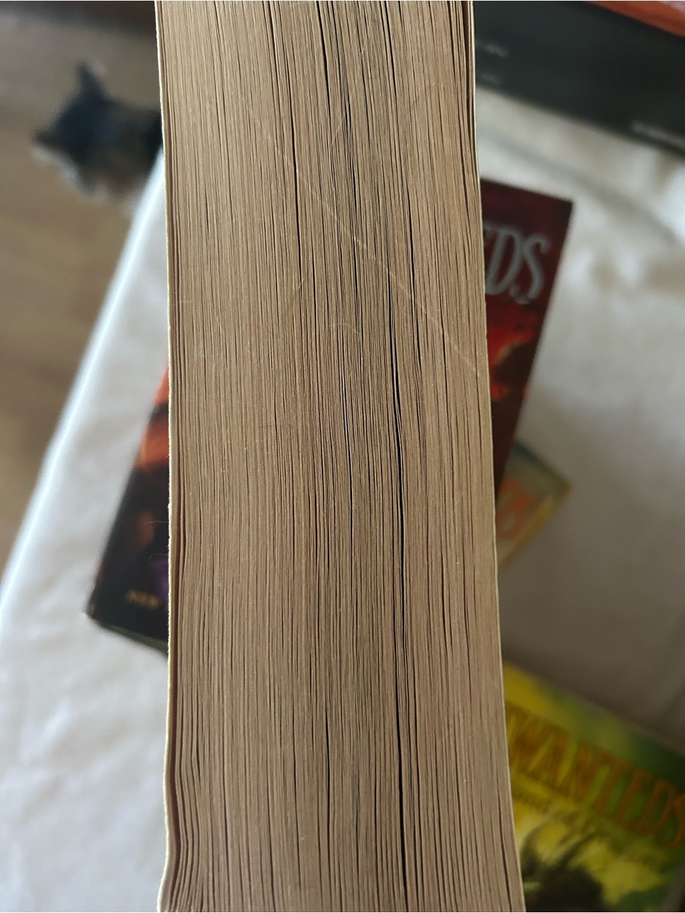 The Unwanteds Series Books 2-7 Paperback By Lisa McMann - Picture 9 of 9